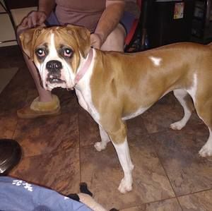 Meet your Posher, Carol